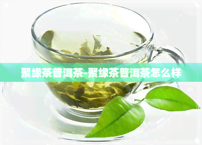 聚缘茶普洱茶-聚缘茶普洱茶怎么样