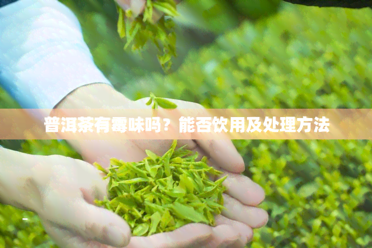 普洱茶有霉味吗？能否饮用及处理方法