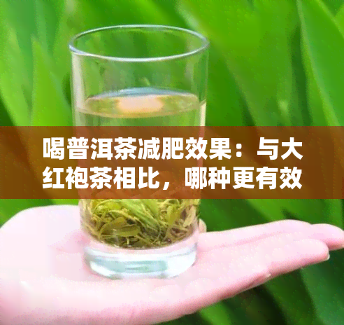 喝普洱茶减肥效果：与大红袍茶相比，哪种更有效？