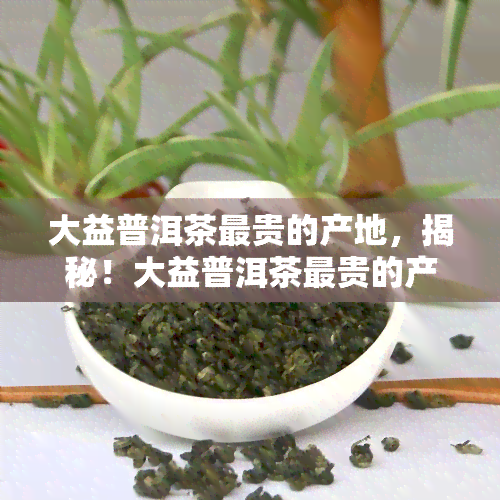 大益普洱茶最贵的产地，揭秘！大益普洱茶最贵的产地在哪里？