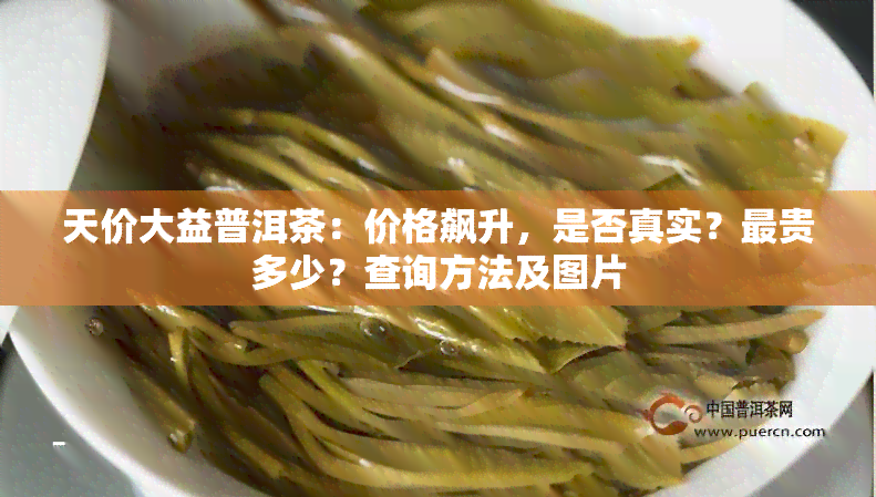 天价大益普洱茶：价格飙升，是否真实？最贵多少？查询方法及图片