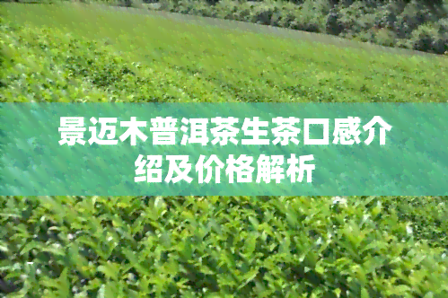 景迈木普洱茶生茶口感介绍及价格解析