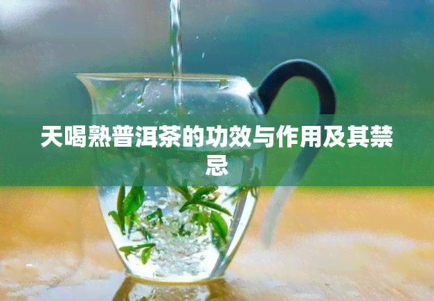 天喝熟普洱茶的功效与作用及其禁忌