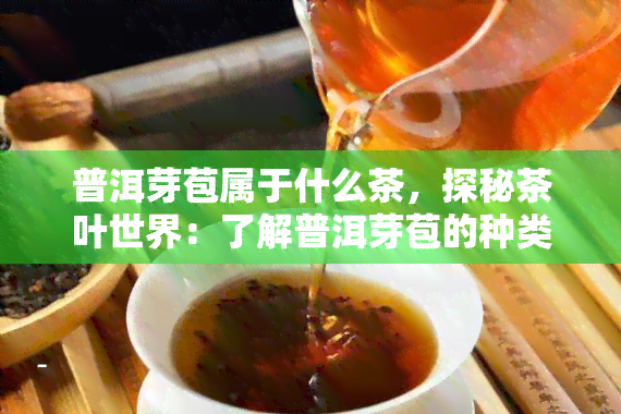 普洱芽苞属于什么茶，探秘茶叶世界：了解普洱芽苞的种类与分类