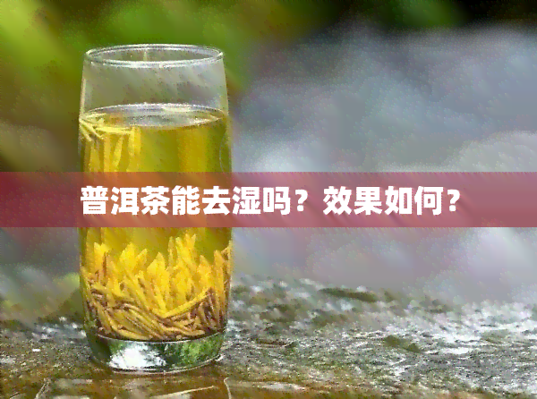 普洱茶能去湿吗？效果如何？