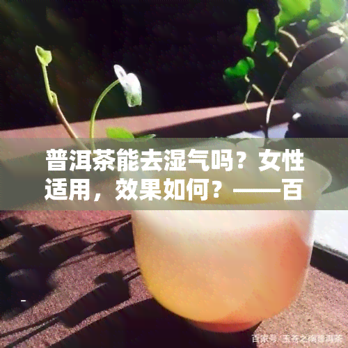 普洱茶能去湿气吗？女性适用，效果如何？——百度百科告诉你