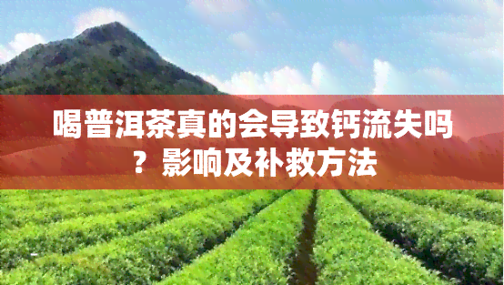 喝普洱茶真的会导致钙流失吗？影响及补救方法