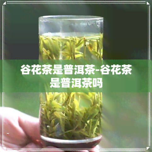 谷花茶是普洱茶-谷花茶是普洱茶吗