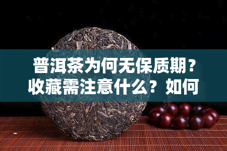 普洱茶为何无保质期？收藏需注意什么？如何解决存放问题？