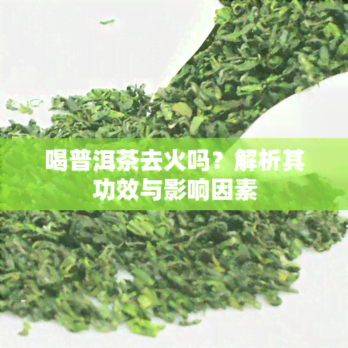 喝普洱茶去火吗？解析其功效与影响因素