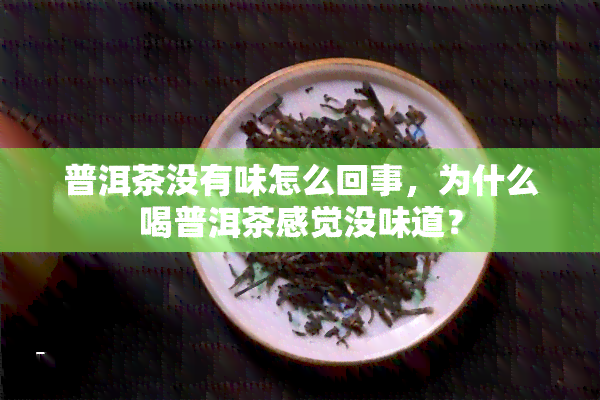 普洱茶没有味怎么回事，为什么喝普洱茶感觉没味道？