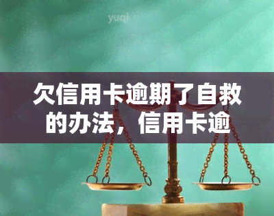 欠信用卡逾期了自救的办法，信用卡逾期怎么办？自救攻略全解析！