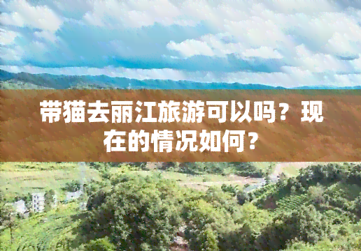 带猫去丽江旅游可以吗？现在的情况如何？