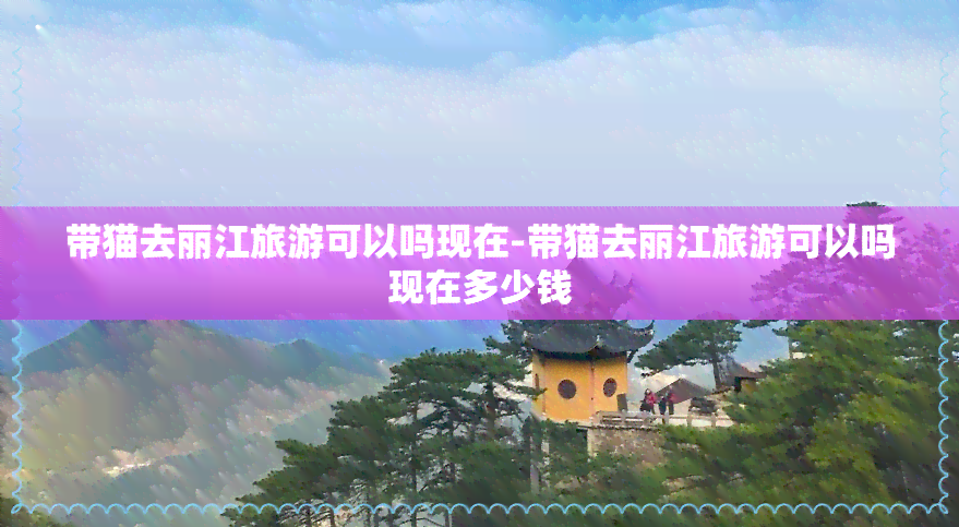 带猫去丽江旅游可以吗现在-带猫去丽江旅游可以吗现在多少钱