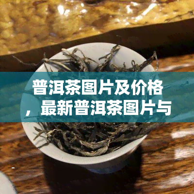 普洱茶图片及价格，最新普洱茶图片与价格大全，一站式选购好茶！