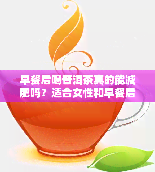 早餐后喝普洱茶真的能减肥吗？适合女性和早餐后饮用吗？效果如何？