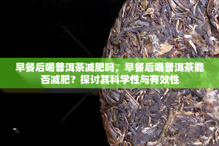 早餐后喝普洱茶减肥吗，早餐后喝普洱茶能否减肥？探讨其科学性与有效性