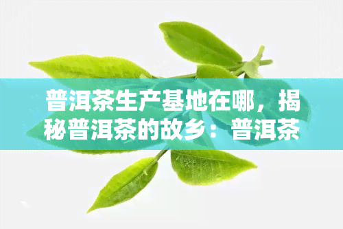 普洱茶生产基地在哪，揭秘普洱茶的故乡：普洱茶生产基地在哪里？