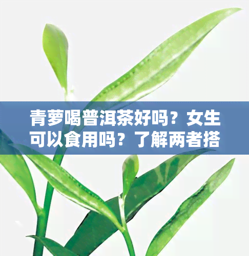 青萝喝普洱茶好吗？女生可以食用吗？了解两者搭配的健知识