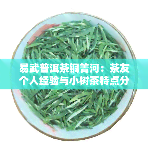 易武普洱茶铜箐河：茶友个人经验与小树茶特点分析及价格一览