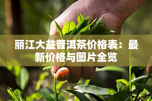 丽江大益普洱茶价格表：最新价格与图片全览