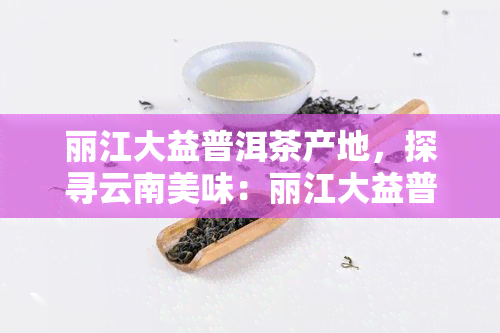 丽江大益普洱茶产地，探寻云南美味：丽江大益普洱茶的产地揭秘