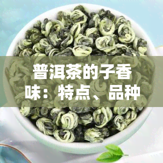 普洱茶的子香味：特点、品种与熟茶表现