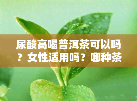 尿酸高喝普洱茶可以吗？女性适用吗？哪种茶叶适合？