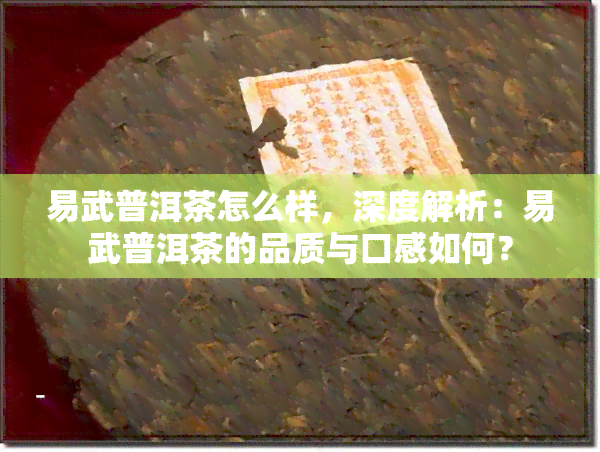 易武普洱茶怎么样，深度解析：易武普洱茶的品质与口感如何？