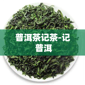 普洱茶记茶-记 普洱