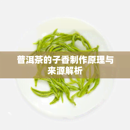 普洱茶的子香制作原理与来源解析