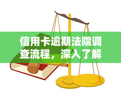 信用卡逾期法院调查流程，深入了解：信用卡逾期后，法院的调查流程是什么？