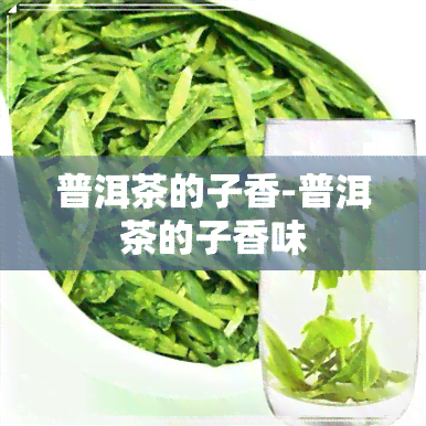 普洱茶的子香-普洱茶的子香味