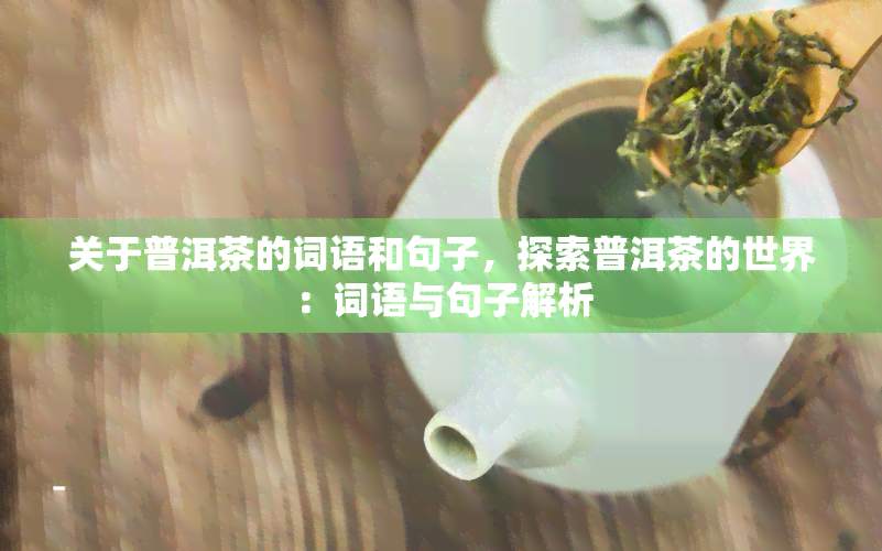 关于普洱茶的词语和句子，探索普洱茶的世界：词语与句子解析