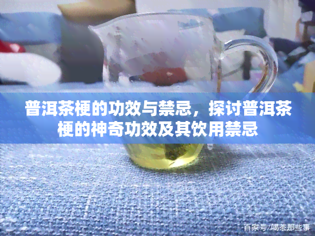 普洱茶梗的功效与禁忌，探讨普洱茶梗的神奇功效及其饮用禁忌