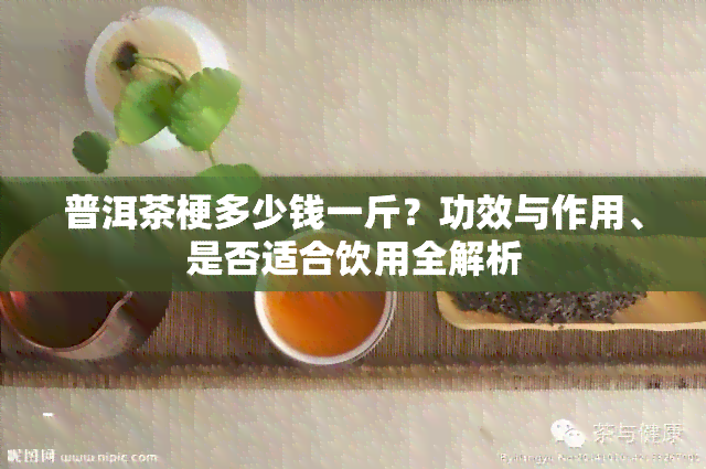 普洱茶梗多少钱一斤？功效与作用、是否适合饮用全解析