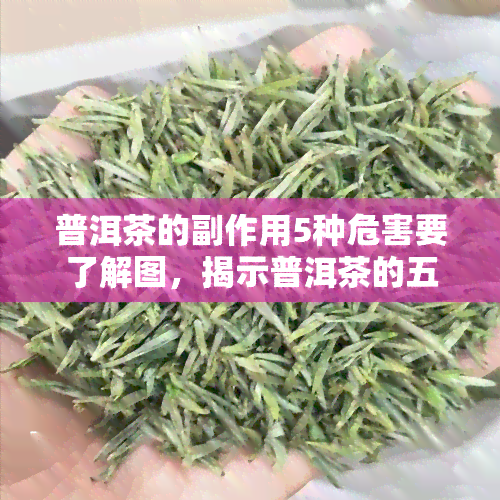 普洱茶的副作用5种危害要了解图，揭示普洱茶的五大副作用：不可忽视的危害！