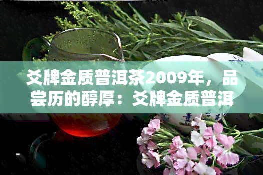 爻牌金质普洱茶2009年，品尝历的醇厚：爻牌金质普洱茶2009年