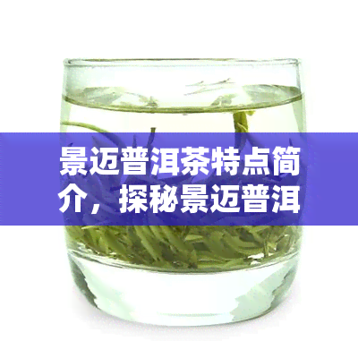 景迈普洱茶特点简介，探秘景迈普洱茶的独特魅力与特点简介