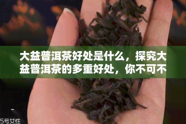 大益普洱茶好处是什么，探究大益普洱茶的多重好处，你不可不知！