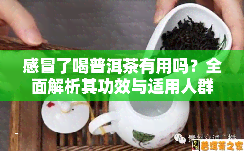 感冒了喝普洱茶有用吗？全面解析其功效与适用人群