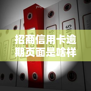 招商信用卡逾期页面是啥样子的，揭秘招商信用卡逾期页面：你必须知道的样子！