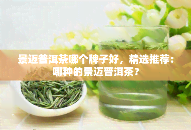 景迈普洱茶哪个牌子好，精选推荐：哪种的景迈普洱茶？