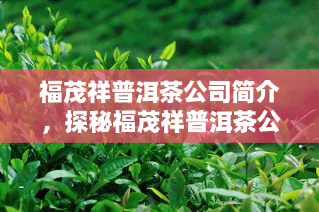 福茂祥普洱茶公司简介，探秘福茂祥普洱茶公司：历悠久，品质越