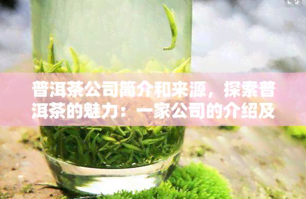 普洱茶公司简介和来源，探索普洱茶的魅力：一家公司的介绍及其产地来源解析