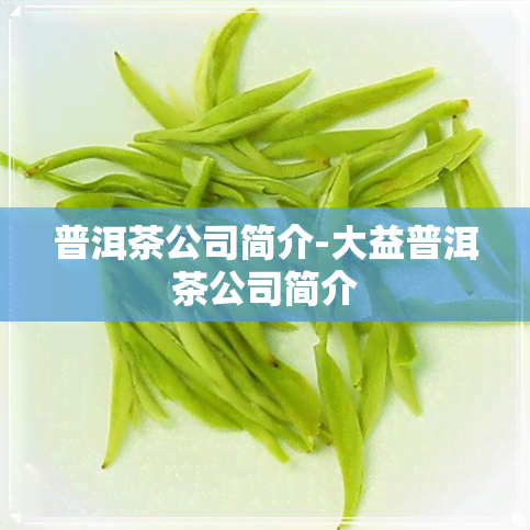 普洱茶公司简介-大益普洱茶公司简介