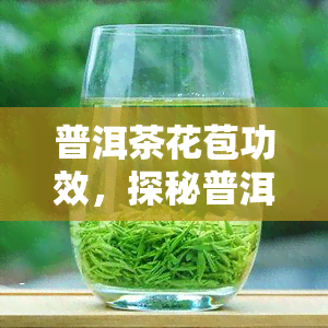 普洱茶花苞功效，探秘普洱茶花苞的神奇功效，你不可不知的秘密！