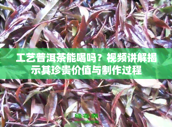 工艺普洱茶能喝吗？视频讲解揭示其珍贵价值与制作过程