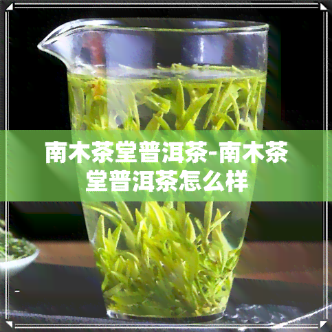 南木茶堂普洱茶-南木茶堂普洱茶怎么样