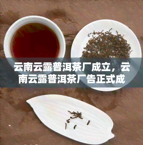 云南云露普洱茶厂成立，云南云露普洱茶厂告正式成立，开启新的茶叶生产篇章！